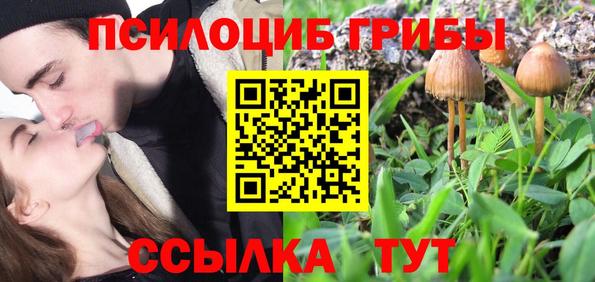 Псилоцибиновые грибы Magic Shrooms Сыктывкар