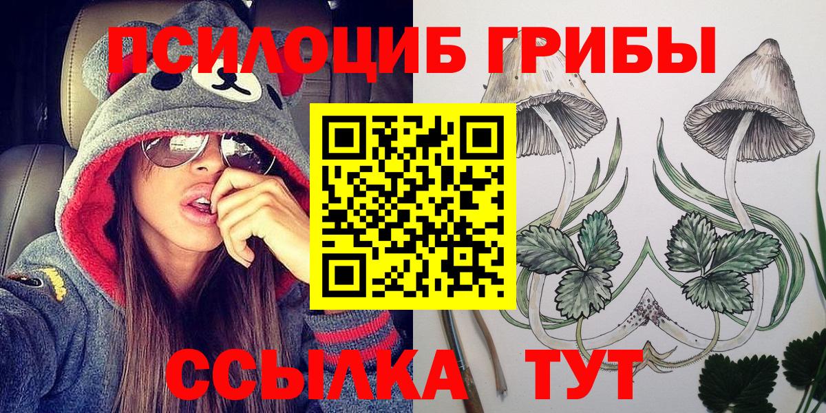 Сыктывкар  Галлюциногенные грибы GOLDEN TEACHER  Вход с VPN  Псилоцибиновые грибы Psilocybe 